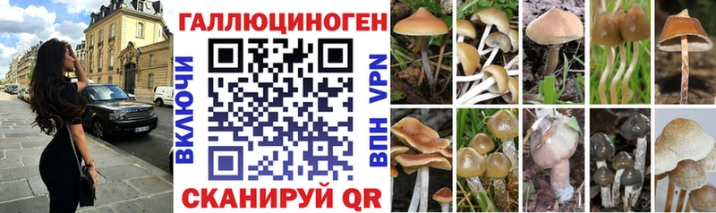 нарко площадка формула  как найти   Олёкминск  Галлюциногенные грибы мицелий 